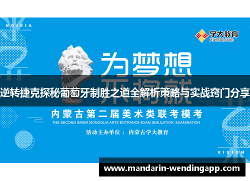 逆转捷克探秘葡萄牙制胜之道全解析策略与实战窍门分享