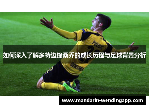 如何深入了解多特边锋桑乔的成长历程与足球背景分析