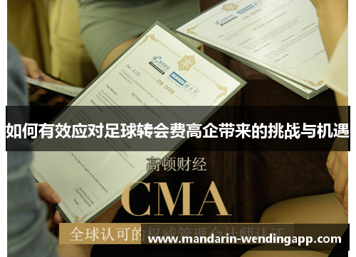 如何有效应对足球转会费高企带来的挑战与机遇
