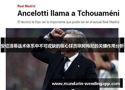 安切洛蒂战术体系中不可或缺的核心球员琼阿梅尼的关键作用分析