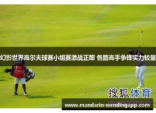 幻影世界高尔夫球赛小组赛激战正酣 各路高手争锋实力较量
