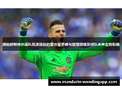 揭秘舒斯特尔退队风波背后的更衣室矛盾与管理困境及球队未来走势影响