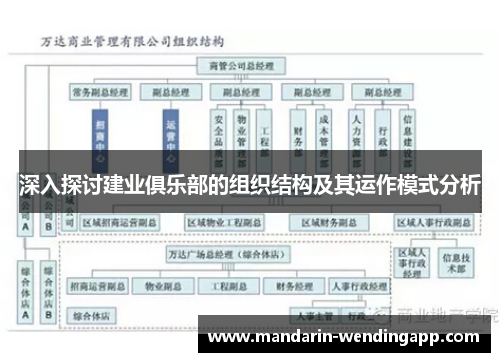 深入探讨建业俱乐部的组织结构及其运作模式分析