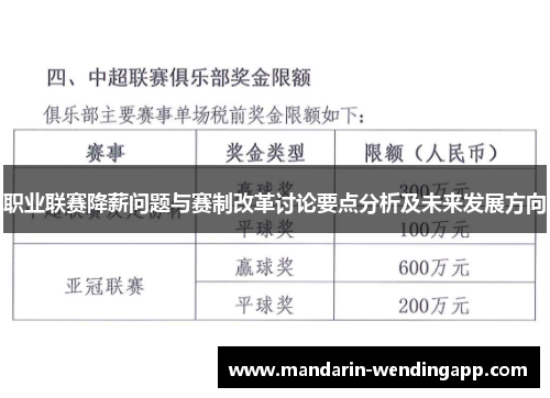 职业联赛降薪问题与赛制改革讨论要点分析及未来发展方向