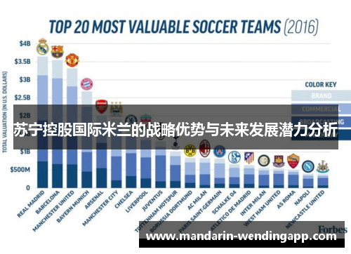 苏宁控股国际米兰的战略优势与未来发展潜力分析 苏宁控股国际米兰的战略优势与未来发展潜力分析