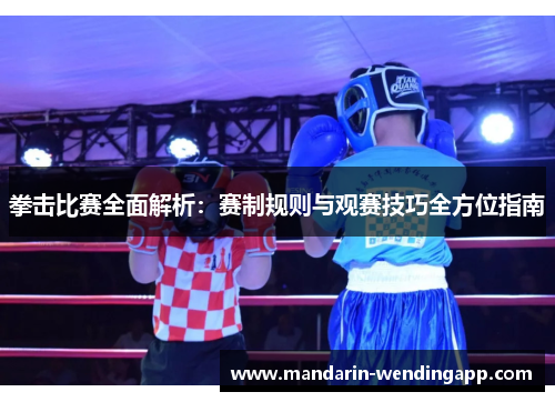 拳击比赛全面解析：赛制规则与观赛技巧全方位指南