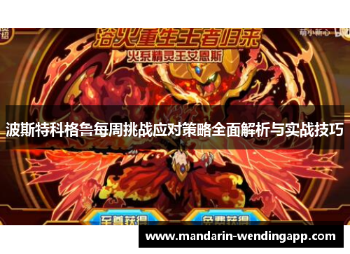 波斯特科格鲁每周挑战应对策略全面解析与实战技巧