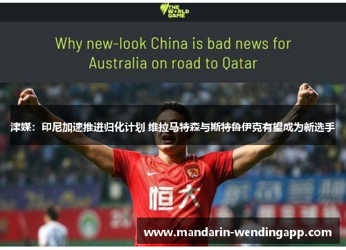 津媒：印尼加速推进归化计划 维拉马特森与斯特鲁伊克有望成为新选手