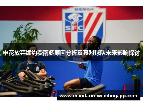 申花放弃续约费南多原因分析及其对球队未来影响探讨