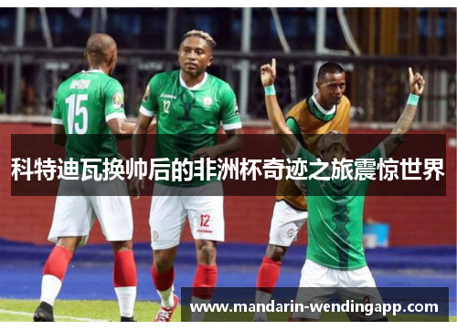 科特迪瓦换帅后的非洲杯奇迹之旅震惊世界 科特迪瓦换帅后的非洲杯奇迹之旅震惊世界